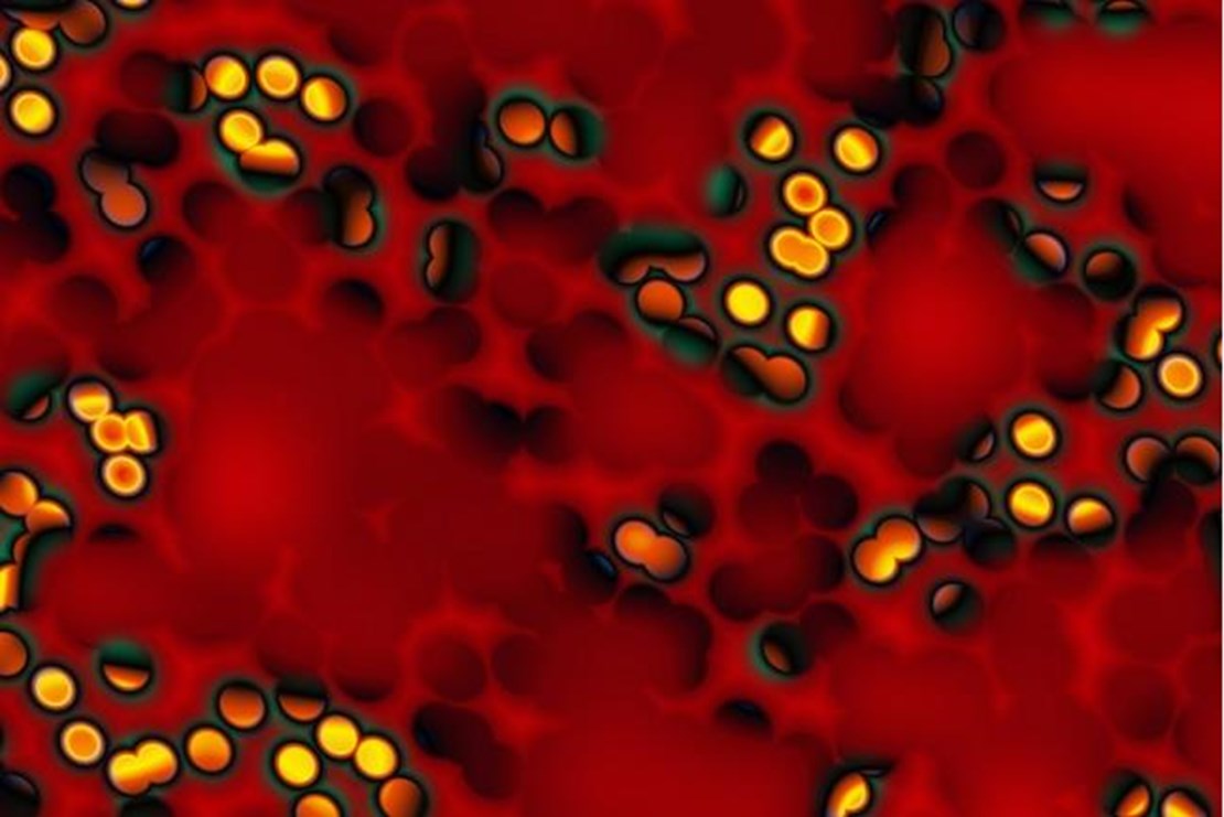 Header image for the current page Clinical Registries